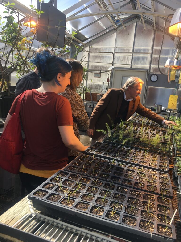 CSN researchers in a greenhouse looking at seedlings