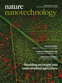 CSN Publication: Nano-enabled strategies to enhance crop nutrition and | The Center for Sustainable Nanotechnology
